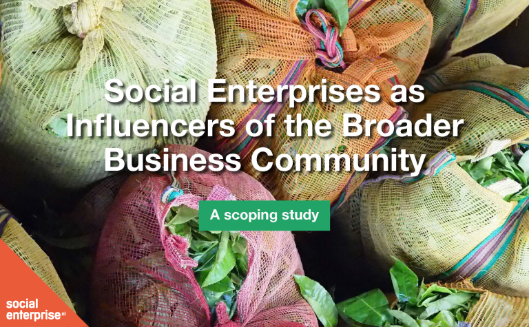 Publication research report &lsquo;Social Enterprises as Influencers of the Broader Business Community&rsquo;